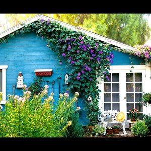 Meet your Posher, E.B